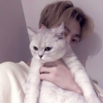 挡脸高清不露脸的男头图片