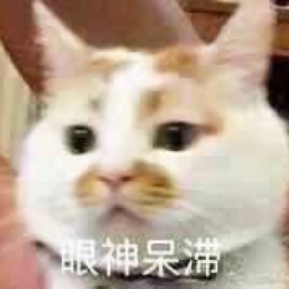 猫猫头像可爱