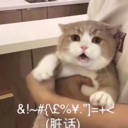 猫猫头像可爱