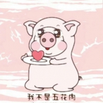 超萌的卡通可爱猪头像图片