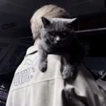 很酷的玩网优质男头图片