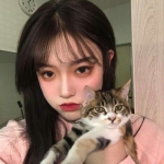 三人三张抱猫的头像闺蜜高清图片