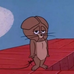 猫和老鼠高清可爱的情头图片