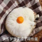 白痴智障高清一对两张史上很贱很欠打的情头图片