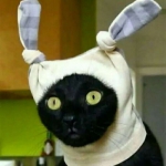 沙雕搞笑图片2024新头像图片