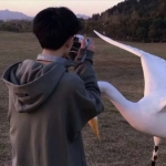 男生优质高冷高清头像图片