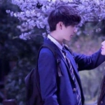 2024超火情头图片高清