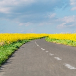 唯美清新马路高清头像图片