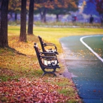 公园安静的高清风景头像图片